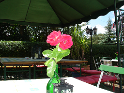 Pavillon im Biergarten